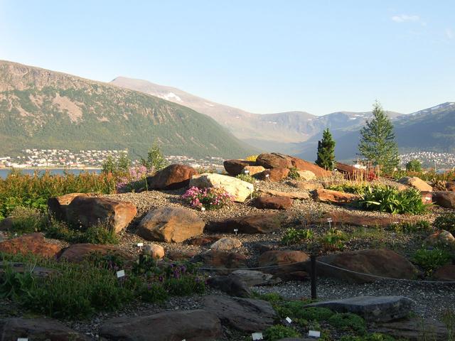 Arctic–Alpine Botanic Garden